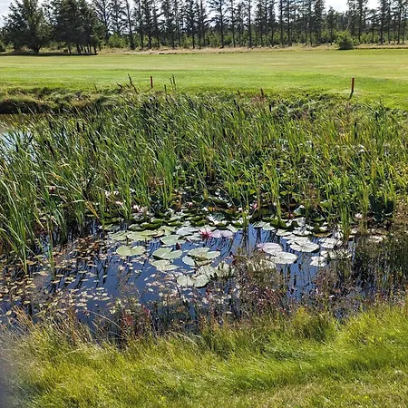 8 Person In Lokken-by Traum