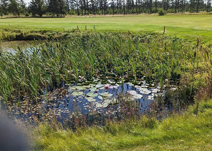 8 Person In Lokken-by Traum